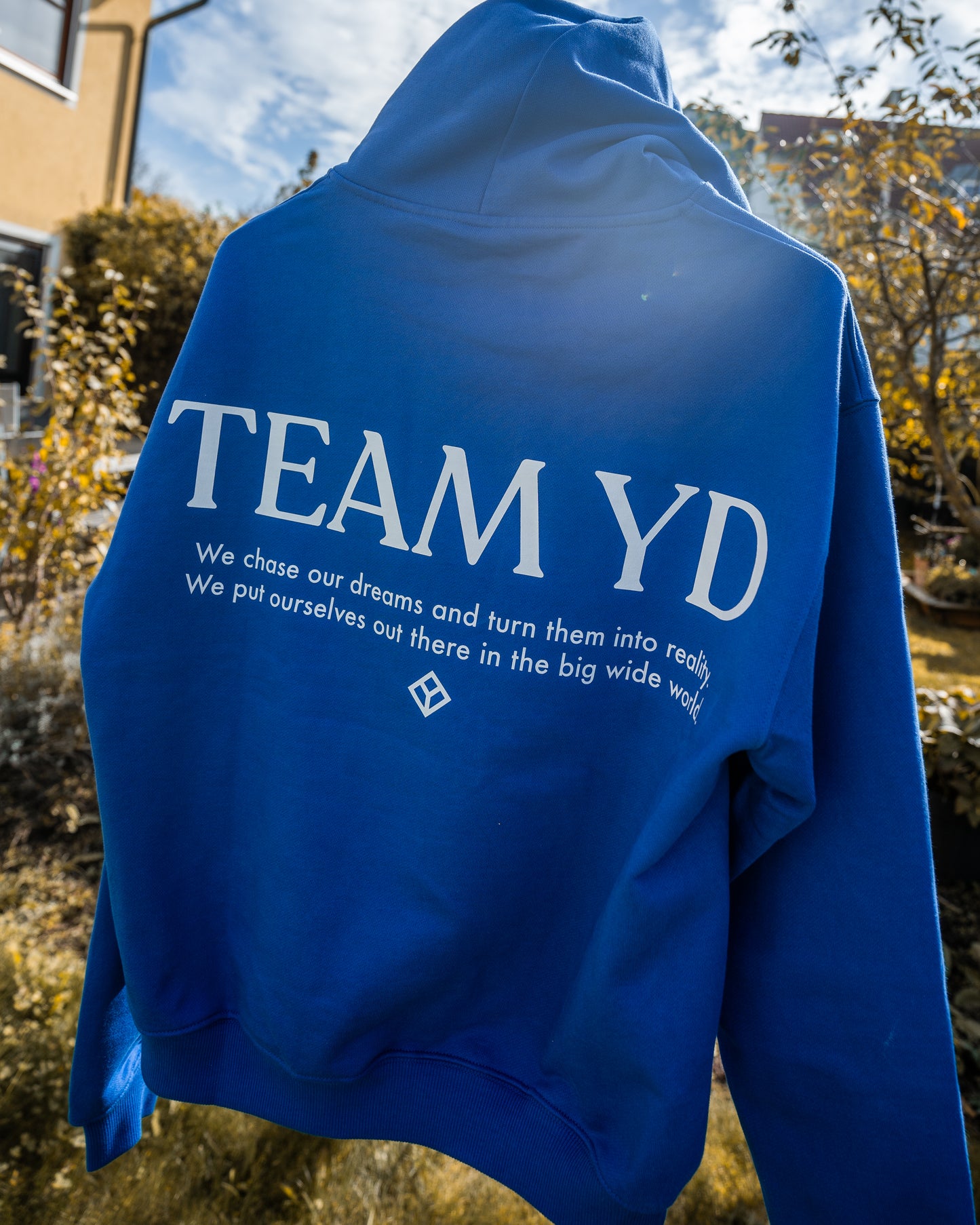 Team YD hoodie