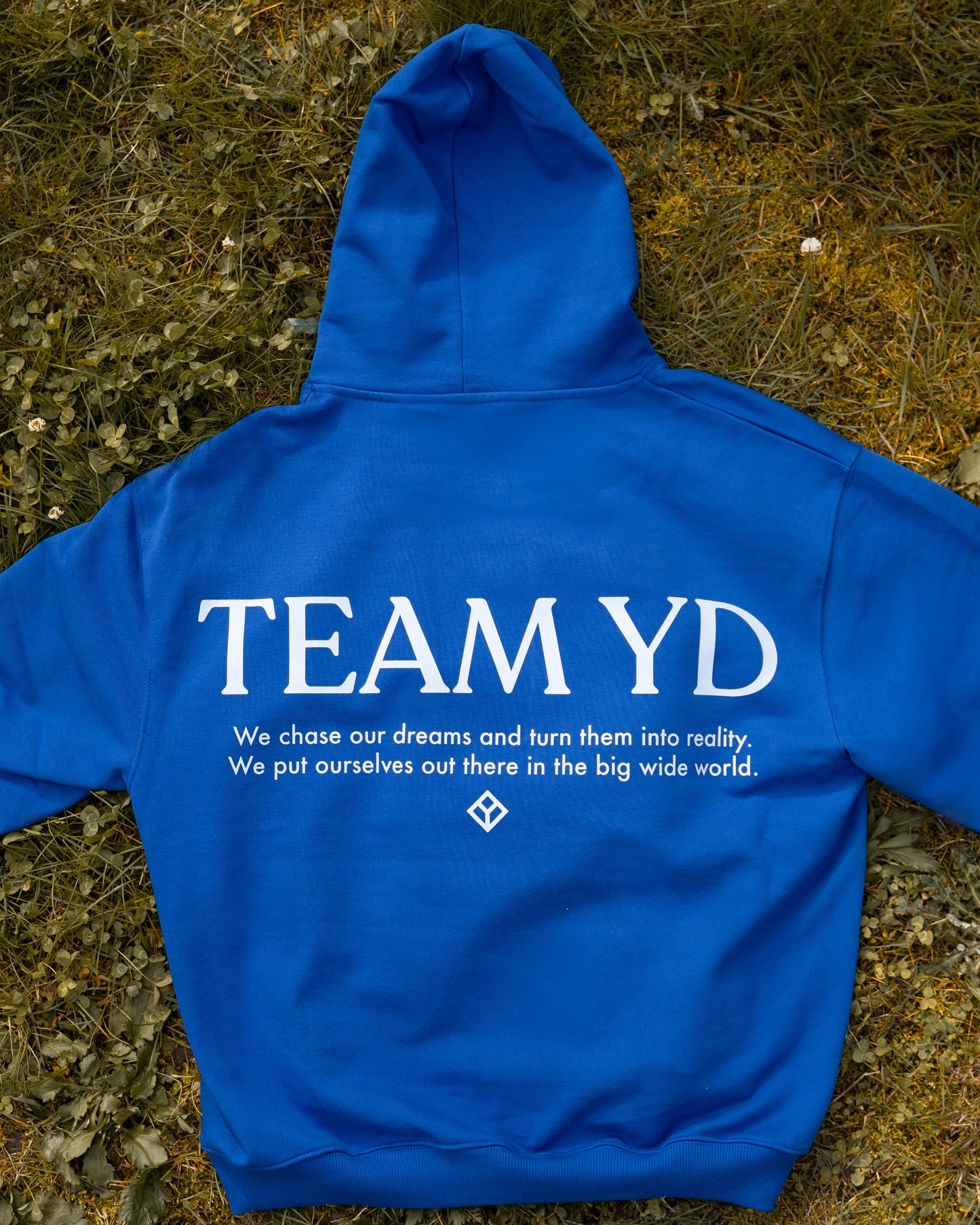 Team YD hoodie